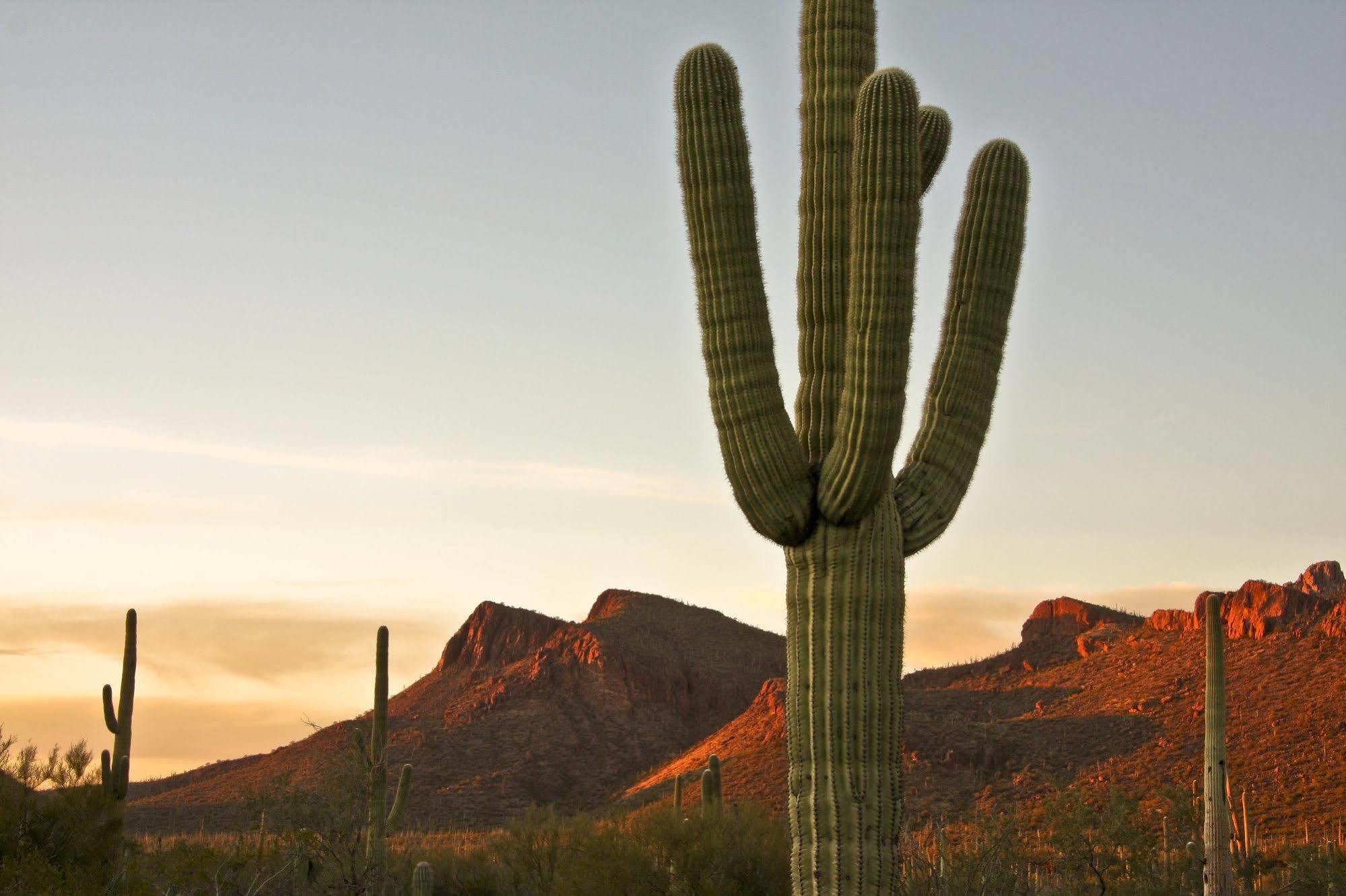 Tucson Marriott University Park Екстер'єр фото